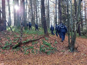 policjanci podczas ćwiczeń poszukiwawczych