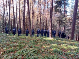 policjanci podczas ćwiczeń poszukiwawczych