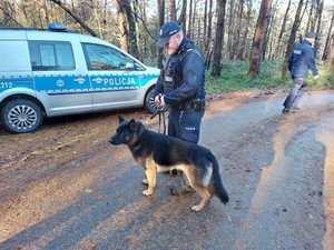 policjant z psem podczas działań poszukiwawczych