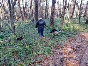 policjant z psem podczas działań poszukiwawczych