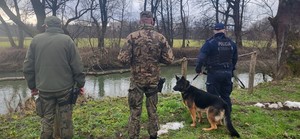 kontrola funkcjonariuszy brzegów rzeki Wisłok. Na zdjęciu mundurowi oraz policyjny przewodnik z psem służbowym