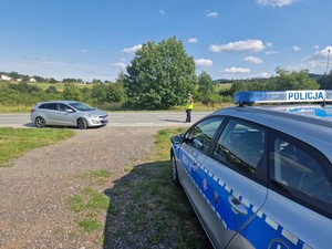 Policjant zatrzymujący do kontroli samochód. Na pierwszym planie radiowóz