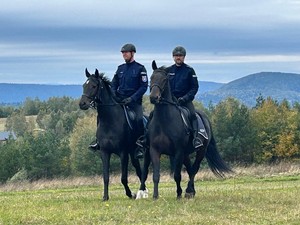 policyjni jeźdźcy podczas patrolu szlaku turystycznego