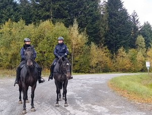 policyjni jeźdźcy podczas patrolu