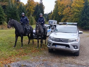 policyjni jeźdźcy podczas patrolu