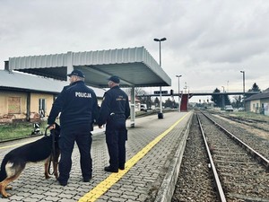 policjant z psem służbowym oraz funkcjonariusz Straży Ochrony Kolei podczas patrolu