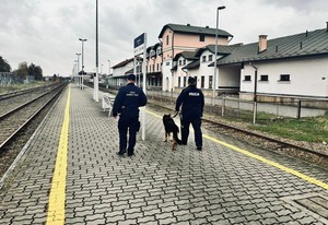 policjant z psem służbowym oraz funkcjonariusz Straży Ochrony Kolei podczas patrolu