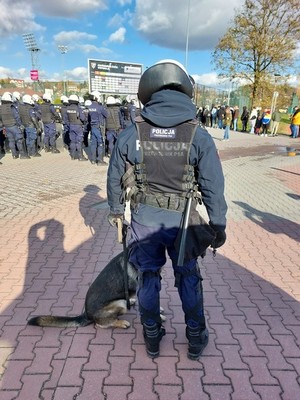 policjant z psem służbowym, w tle inni funkcjonariusze biorący udział w zabezpieczeniu