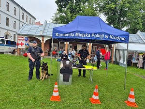 Stoisko profilaktyczne podczas obchodów Dnia Dziecka w Miejscu Piastowym. Na zdjęciu policjanci oraz uczestnicy festynu