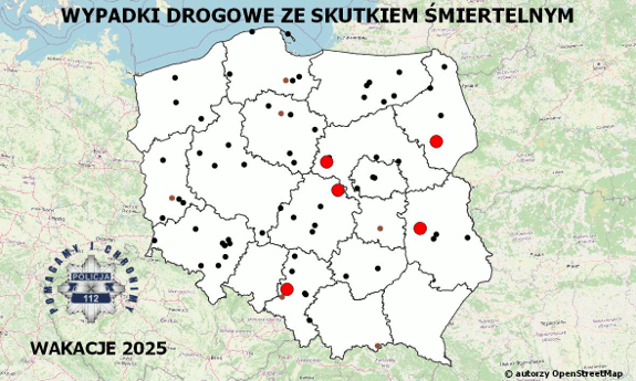 grafika kampanii przedstawiająca mapę Polski z hasłem w centralnej część Policyjna mapa wypadków drogowych ze skutkiem śmiertelnym - 2025