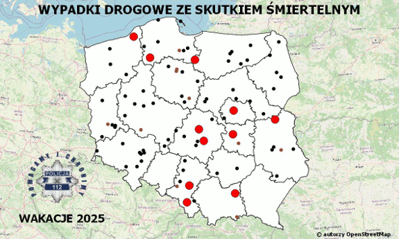 grafika kampanii przedstawiająca mapę Polski z hasłem w centralnej część Policyjna mapa wypadków drogowych ze skutkiem śmiertelnym - 2025