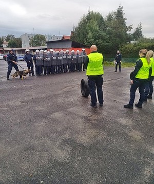 Uczestnicy ćwiczeń podczas zajęć