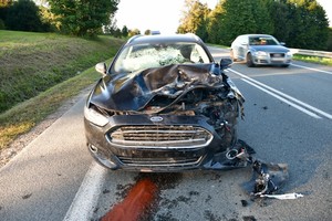 uszkodzenia pokolizyjne forda powstałe po zderzeniu z jeleniem