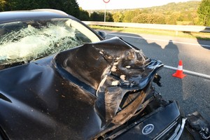 uszkodzenia pokolizyjne forda powstałe po zderzeniu z jeleniem