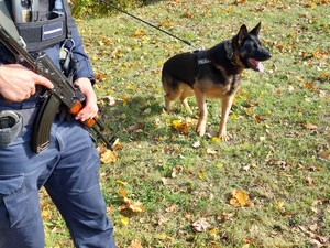 policjanci podczas ćwiczeń na terenie rafinerii w Jedliczu