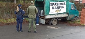 funkcjonariusze podczas kontroli miejsc dystrybucji ryb oraz łowisk nad Wisłokiem