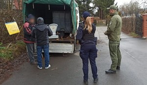 funkcjonariusze podczas kontroli miejsc dystrybucji ryb oraz łowisk nad Wisłokiem