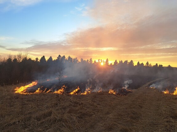 zdjęcia przedstawiające zjawisko wypalania traw