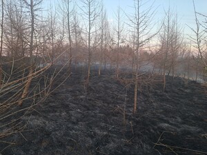 zdjęcia przedstawiające zjawisko wypalania traw