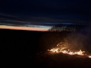 zdjęcia przedstawiające zjawisko wypalania traw